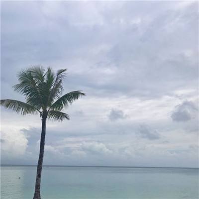 第一次中状元既是高中状元，也是初中状元